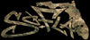 Decals Digital Camouflage Woods