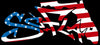 Decals American Flag