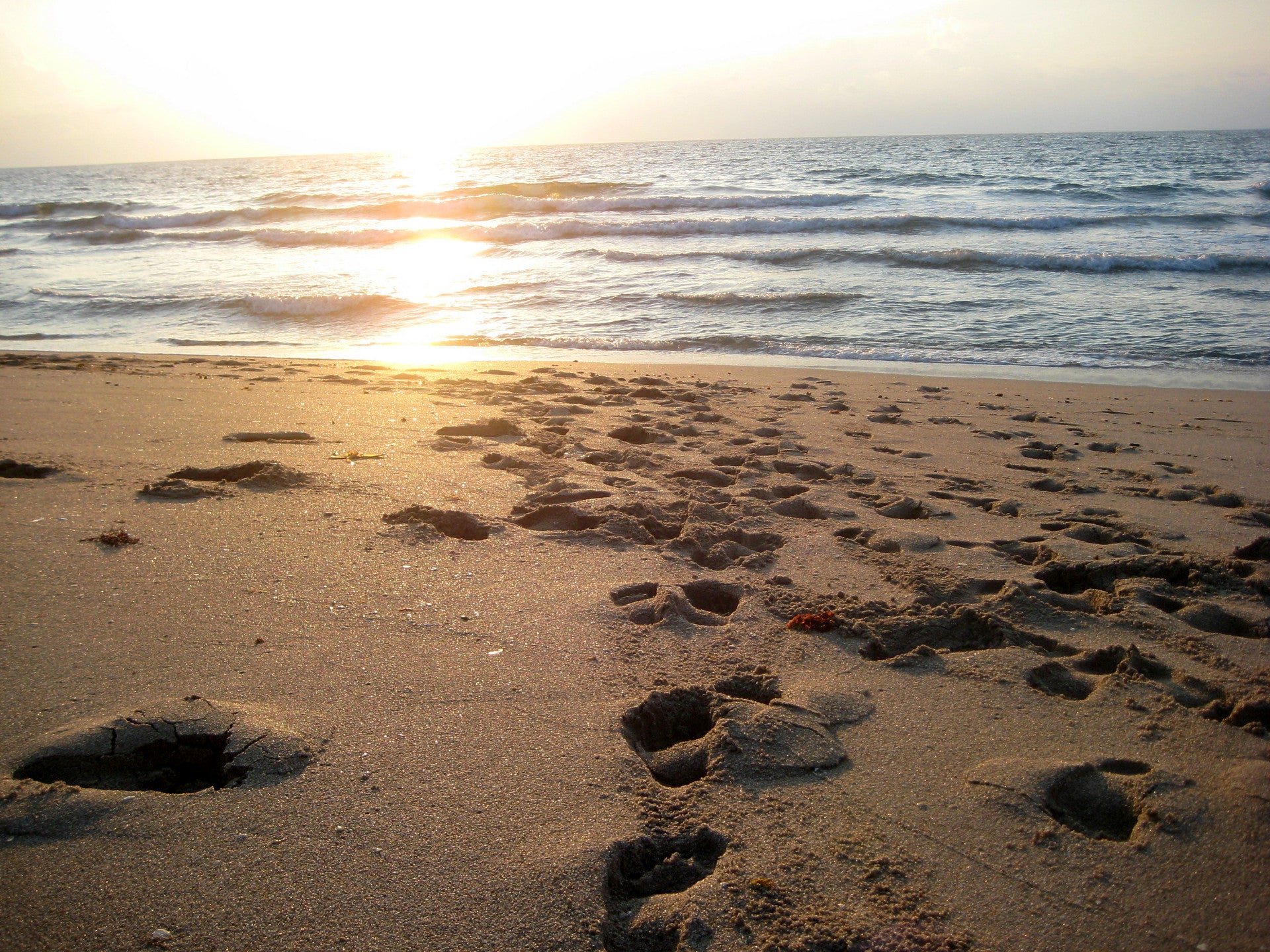 South Florida Sunrise
